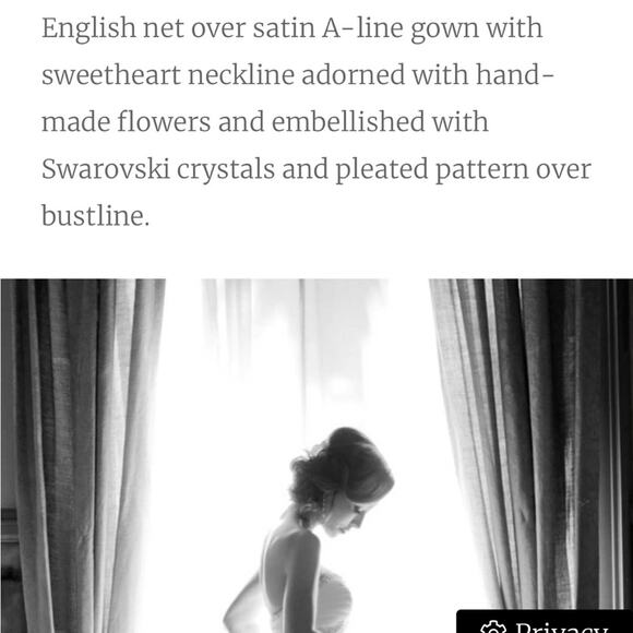 Private Label by G wedding gown bridal - Picture 8 of 16